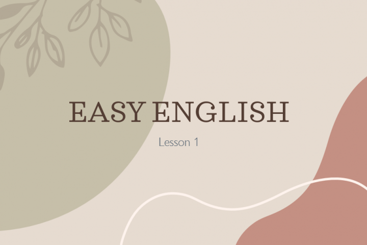 Пример индивидуальный урок - английский