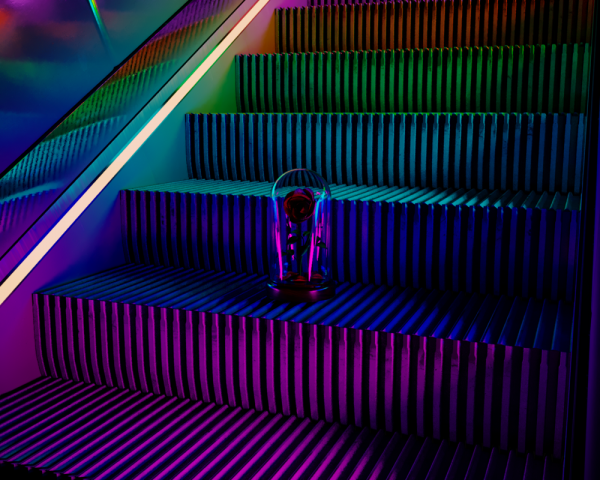 Арт-проект.