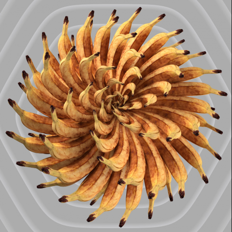 Моушн-дизайн