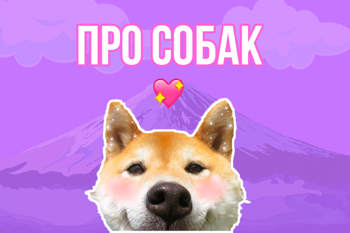 ПРО СОБАК