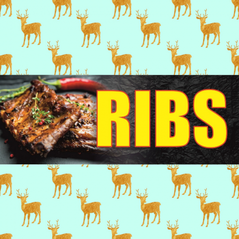RIBS