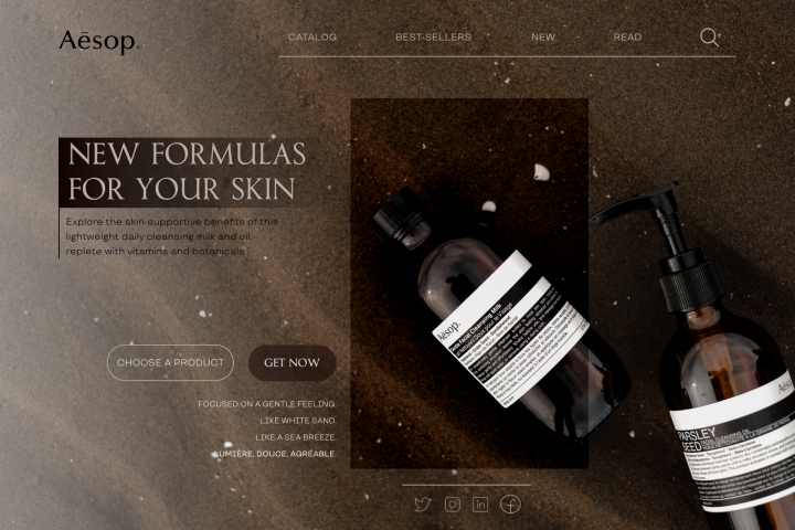 aesop_project