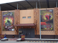 Баннеры для ночного клуба