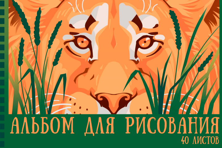 Обложки для альбомов