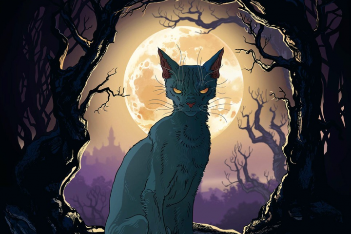 Кот