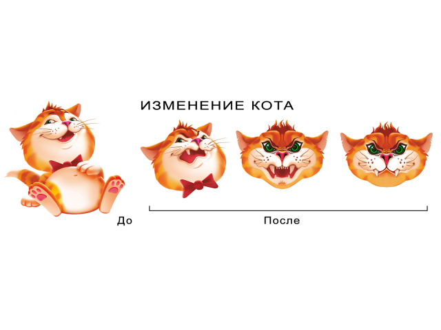 Изменение кота