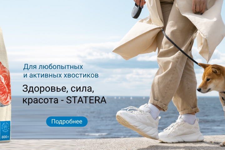 Баннер для интернет-магазина