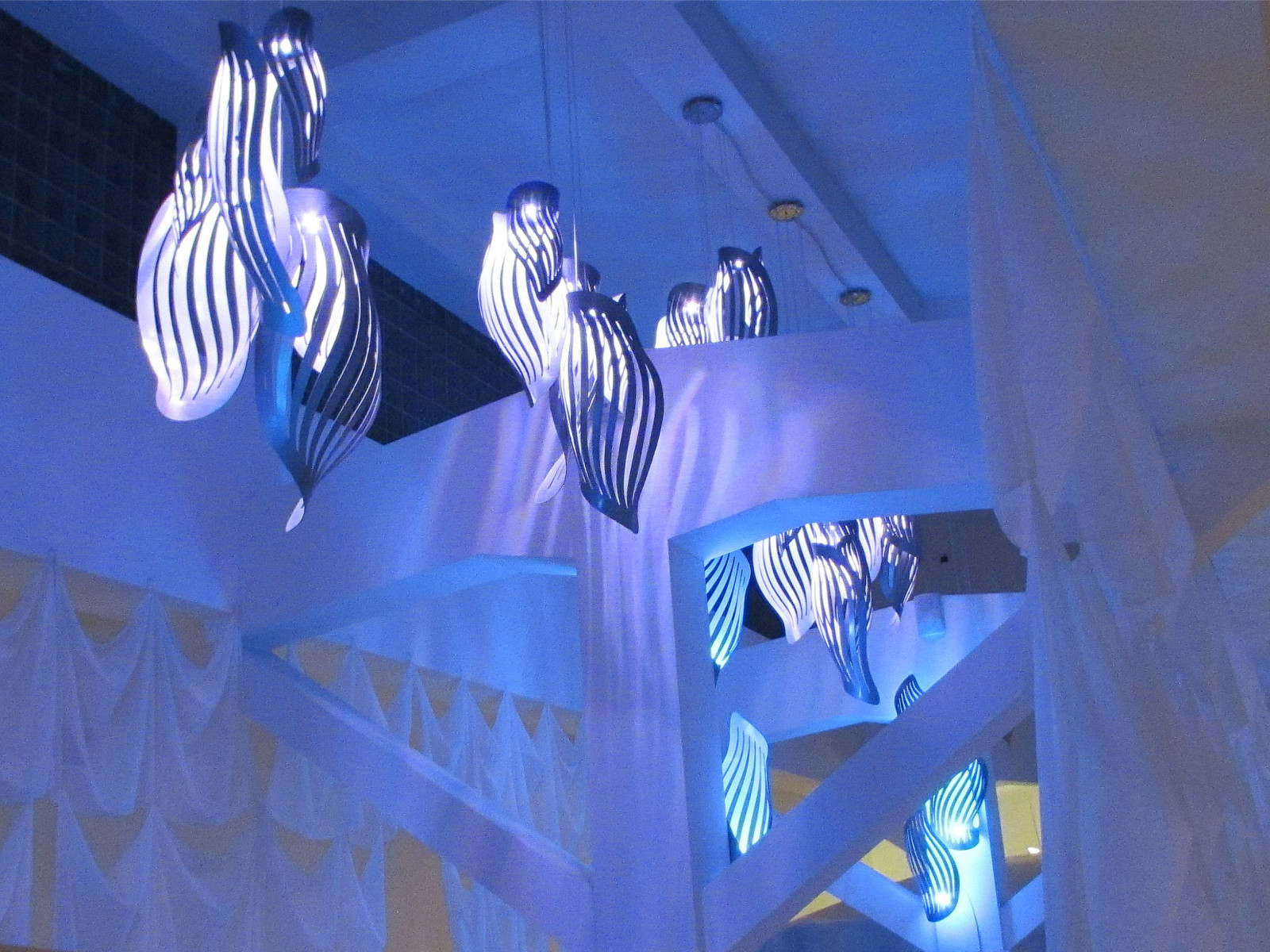 pic4637280.jpg