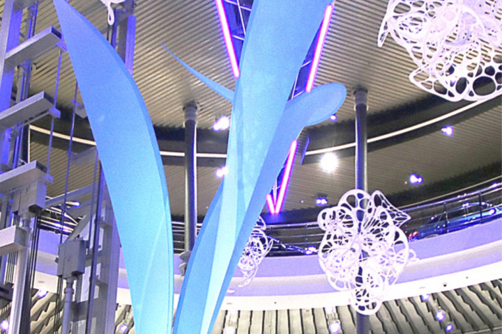 Инсталляция "Превосходство"