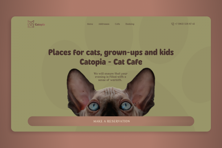 Catopia | Дизайн главной страницы сайта