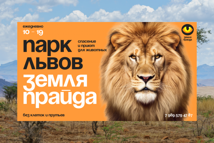 Дизайн баннера