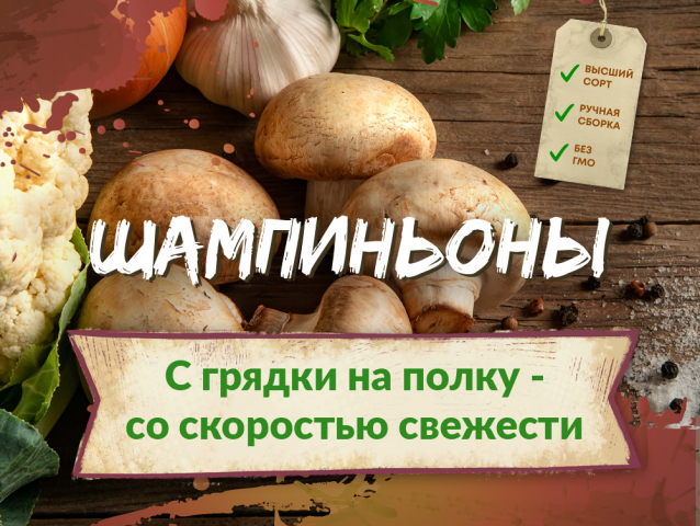 Шампиньоны