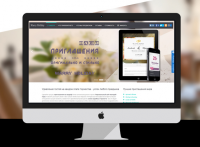 LP свадебные пригласительные