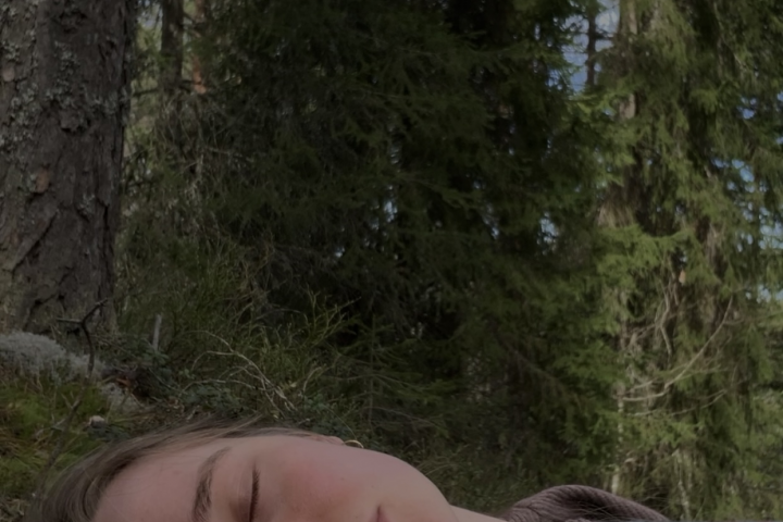 Эстетика леса