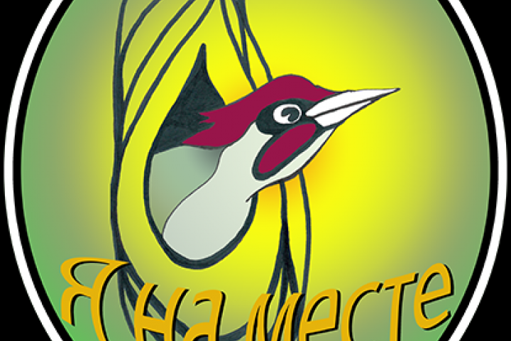 Cartoon image of the head of a green woodpecker peeking