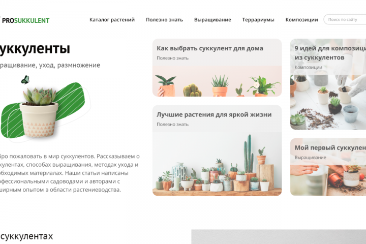 Информационный портал о суккулентах