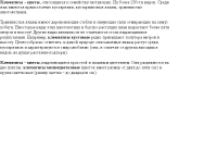 Клематисы (описание)