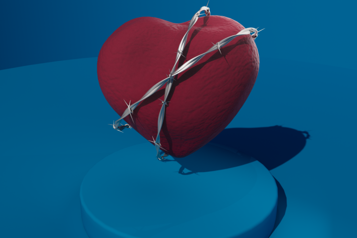 Heart