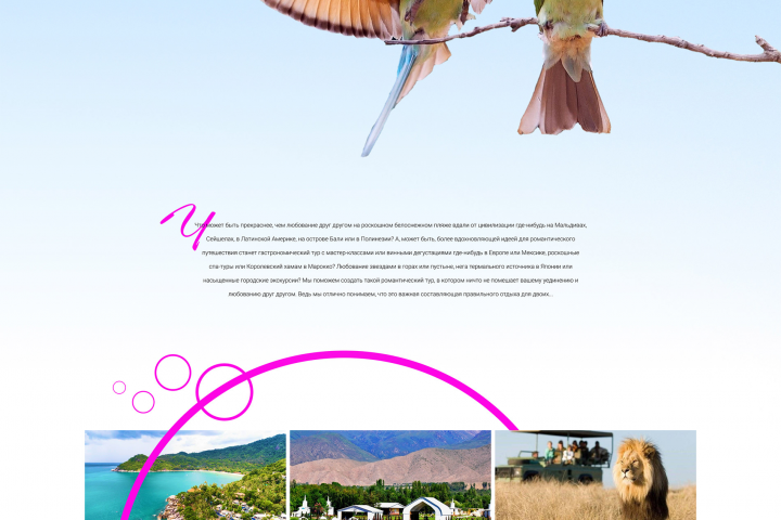 Дизан сайта