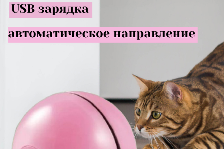 интерактивный мячик для кошек