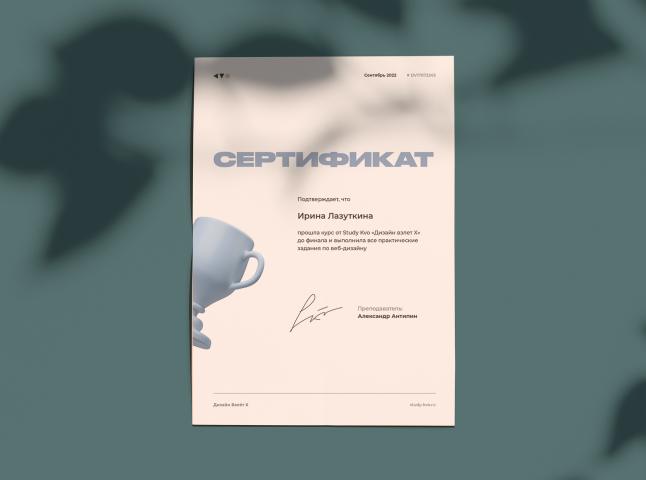 Сертификат о прохождении курса по Веб-дизайну