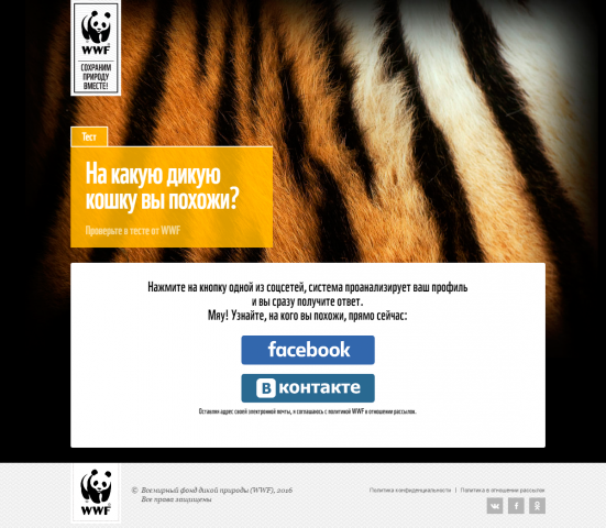 WWF сайт тест. Анализ профиля Facebook и ВК
