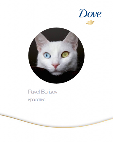 Dove. Приложение для Facebook и ВКонтакте