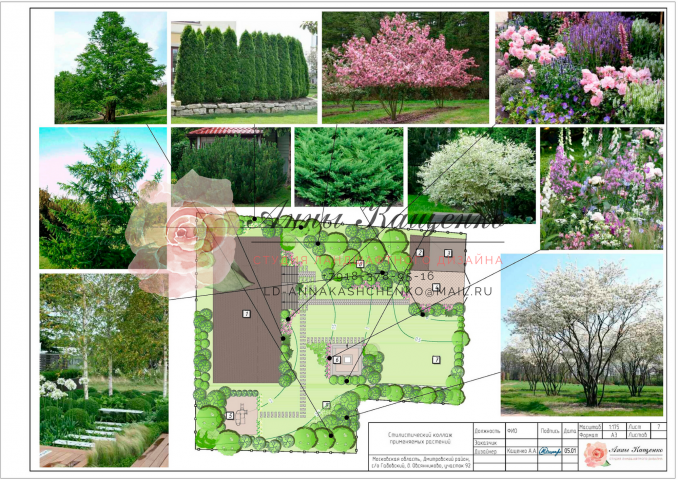 Проект ЛД, Московская обл., 18 сот. л.7