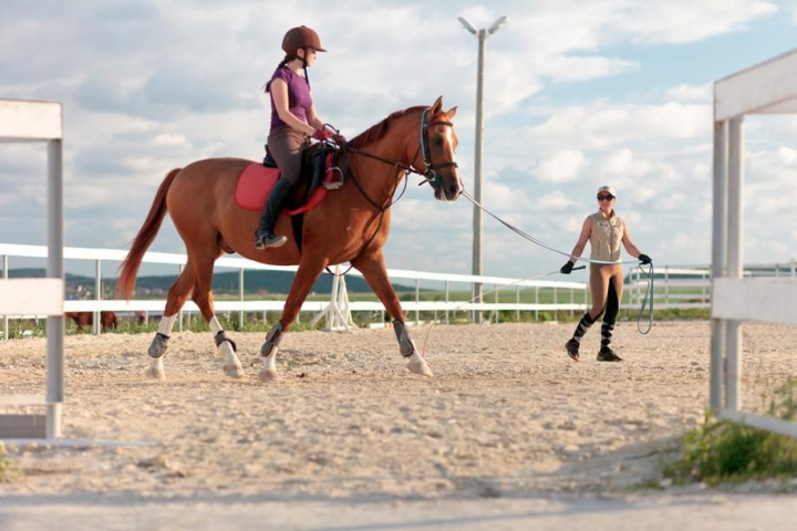 Кейс конного клуба