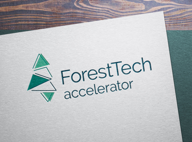 Логотип акселератора