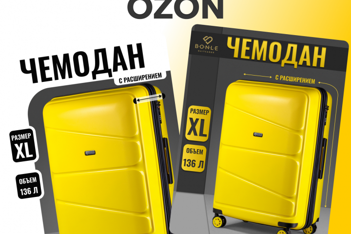 Инфографика - чемодан