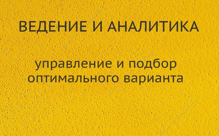 Ведение и аналитика