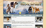 ironspirit