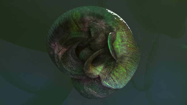 3D shell