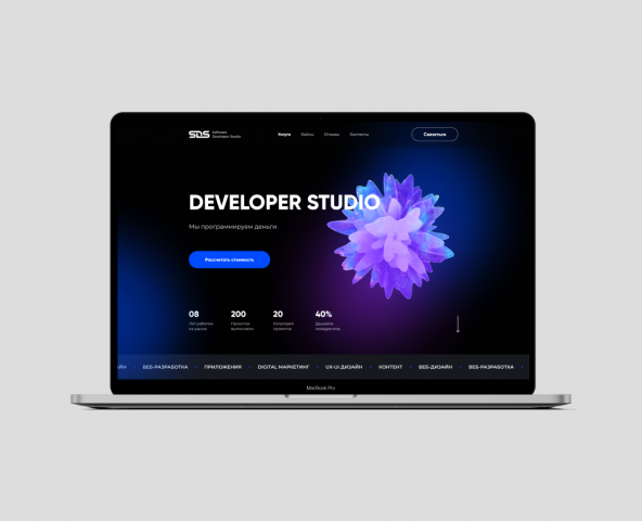 Developer Studio