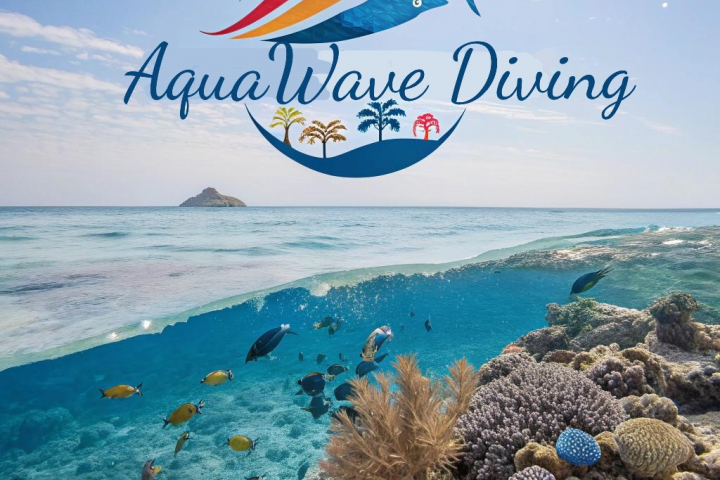 Логотип для дайвинг-клуба