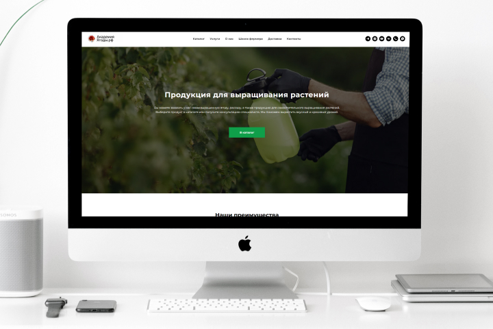 Разработка интернет-магазина продукции для выращивания растений