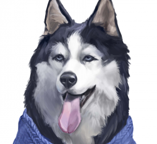 dog
