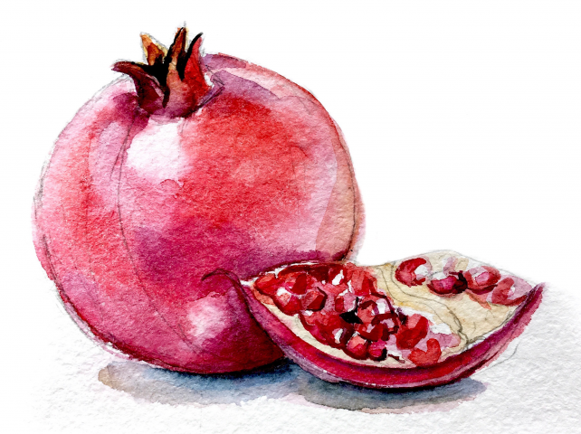 Гранат акварелью