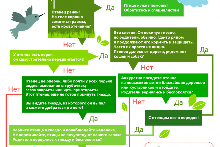 Инфографика, дизайн