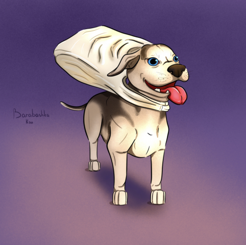 Забавный пёс