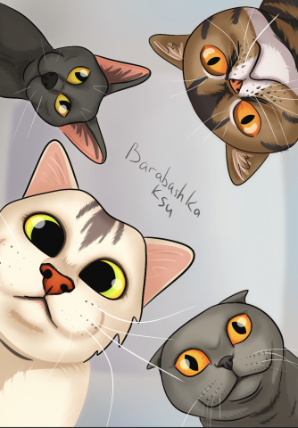 Котики
