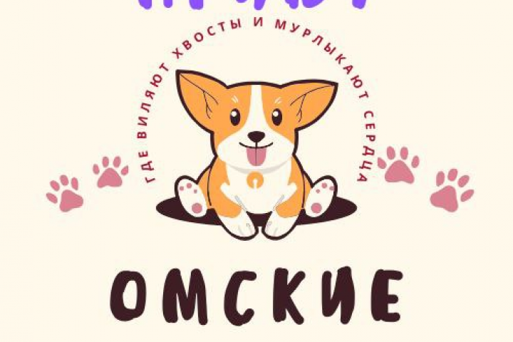 Благотворительная организация - приют "Омские хвостики"