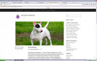 Работа 2778967