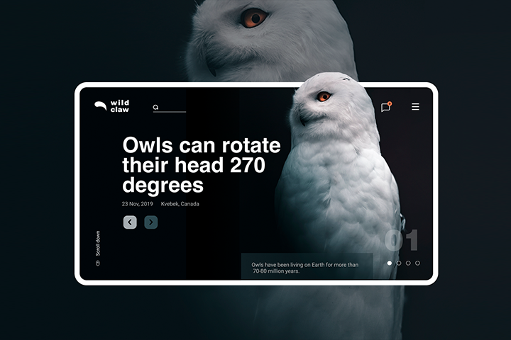 UI Design - Дизайн интерфейса