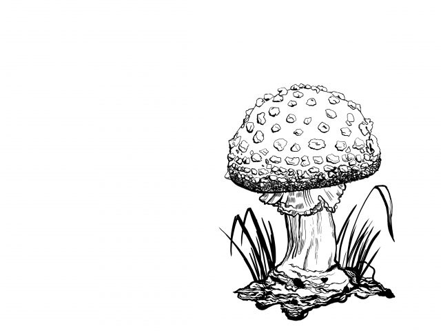 Работа 4091414