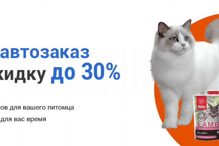 Баннер для petshop