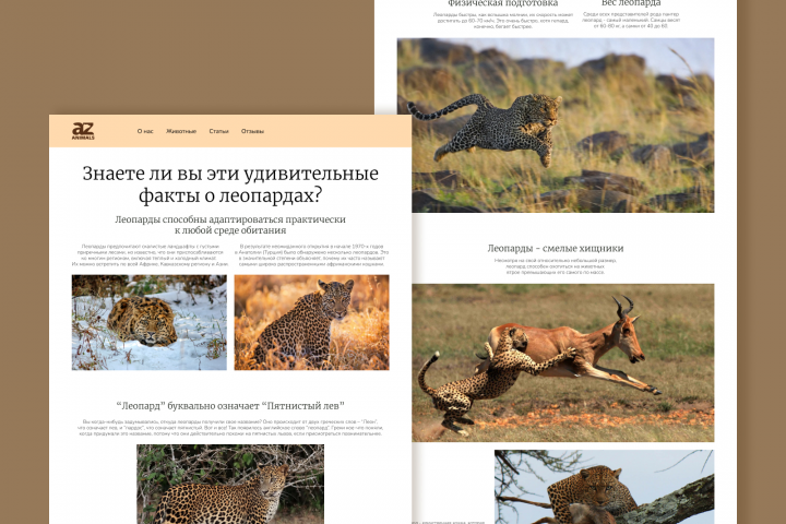 Лонгрид о леопардах