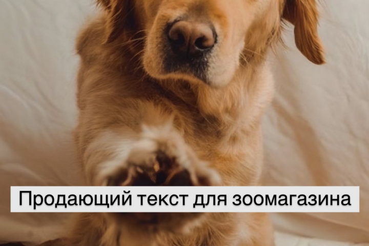Продающий текст для зоомагазина.