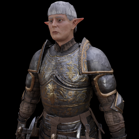 Medieval Elf Knight